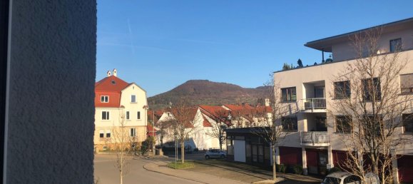 1 bedroom Apartment in Baden-Wurttemberg, Germany No. 3342 12