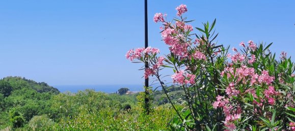 Studio in Guardistallo, Italy, Nr. 39992 16