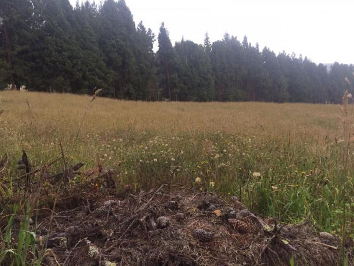 Studio in Cundinamarca, Colombia, Nr. 6426