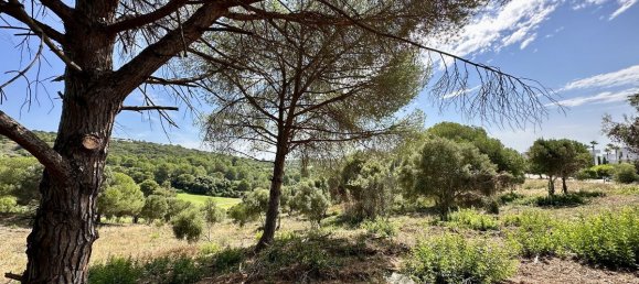  Land in Cadiz, Spain No. 283090 7