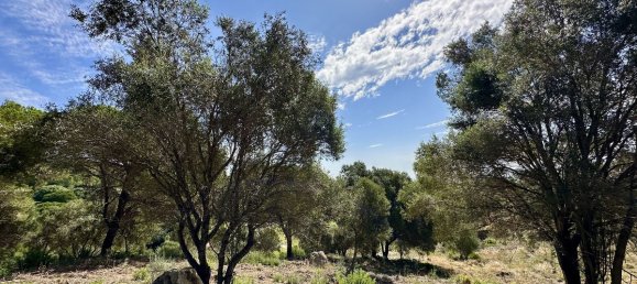  Land in Cadiz, Spain No. 283090 4