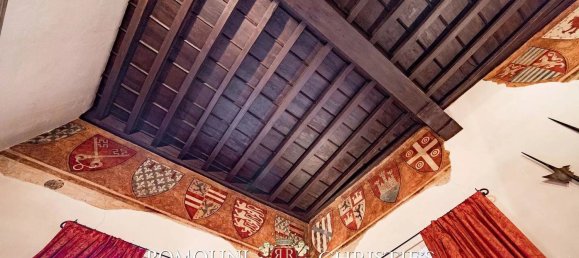 Дом с 22 комнатами в Флоренция, Италия № 140193 23