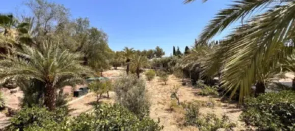 8 bedrooms House in Alicante, Spain No. 135751 15