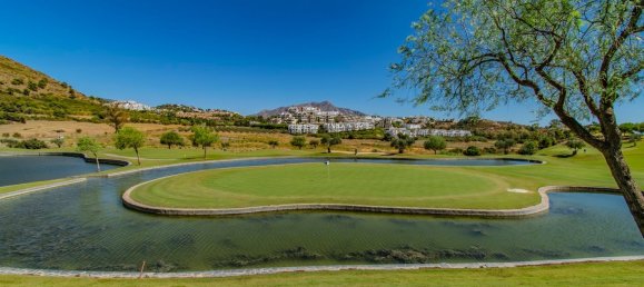 2 bedrooms Apartment in Malaga, Spain No. 175370 35