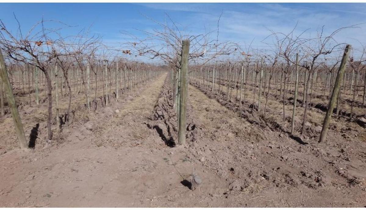 6 Schlafzimmer Haus in Mendoza, Argentina, Nr. 12736