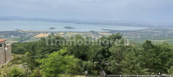 5 bedrooms Villa in Tuoro sul Trasimeno, Italy No. 89473 6