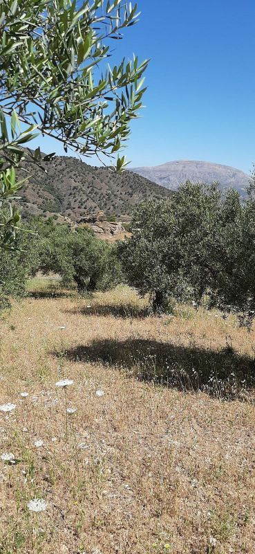 Terreno en Álora, Spain 13000 m² No. 226496