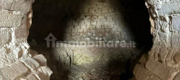 3 chambres Maison à Montaldo Roero, Italy No. 311240 15