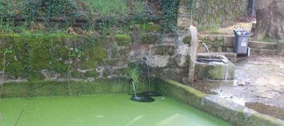 270m² Land in Sao Pedro do Sul, Portugal No. 45676 25