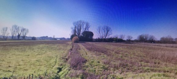 3 rooms House in Pisa, Italy No. 37827 10