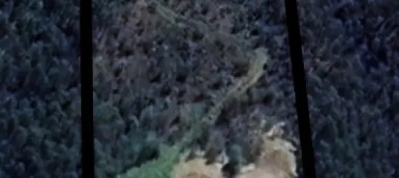 Lagerhaus in Sever do Vouga, Portugal 1000m², Nr. 60887 9