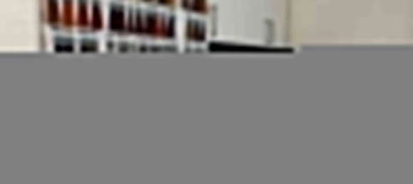 55m² Commercial property in Rhein-Sieg, Germany No. 209205 21