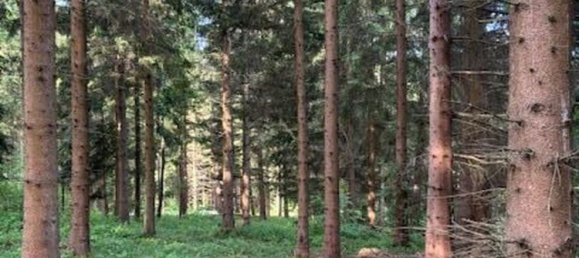  Commercial property in Unterweissenbach, Austria No. 137508 4