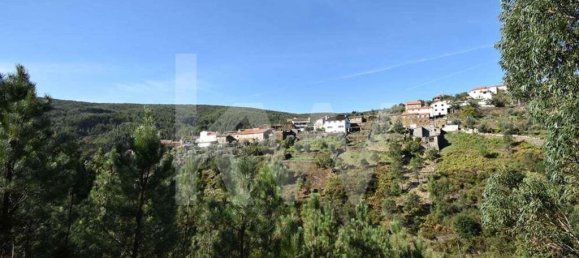 Дом с 3 спальнями в Alvares, Португалия № 78510 10