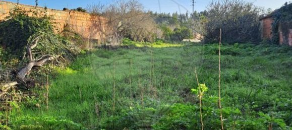 1 bedroom House in Febres, Portugal No. 32180 3