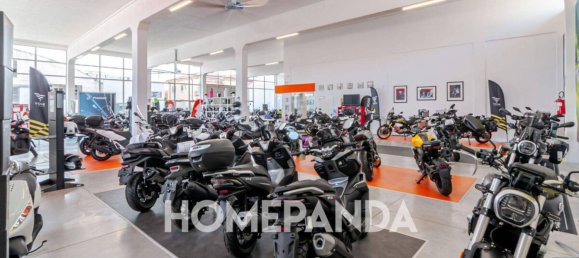 5 rooms Warehouse in Verona, Italy No. 265825 7