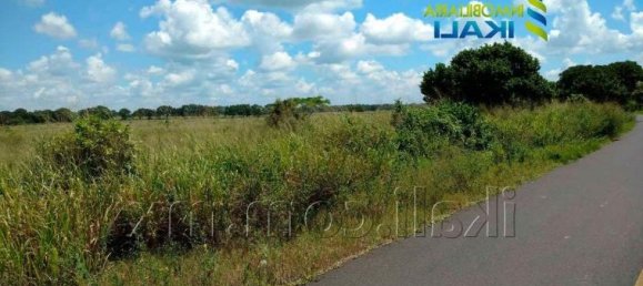 استوديو في Tijuana, Mexico رقم 167908 2