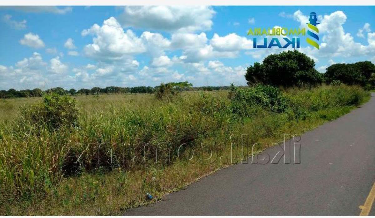 استوديو في Tijuana, Mexico رقم 167908