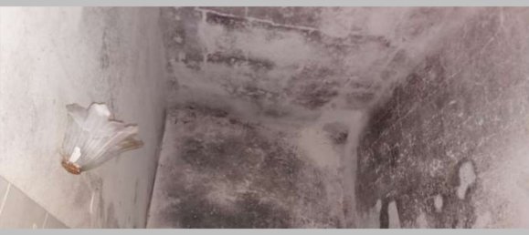 3 Schlafzimmer Wohnung in La Spezia, Italy, Nr. 314283 22