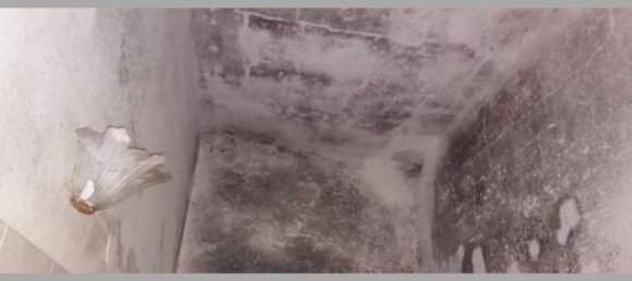 3 Schlafzimmer Wohnung in La Spezia, Italy, Nr. 314283 32