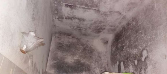 3 Schlafzimmer Wohnung in La Spezia, Italy, Nr. 314283 11