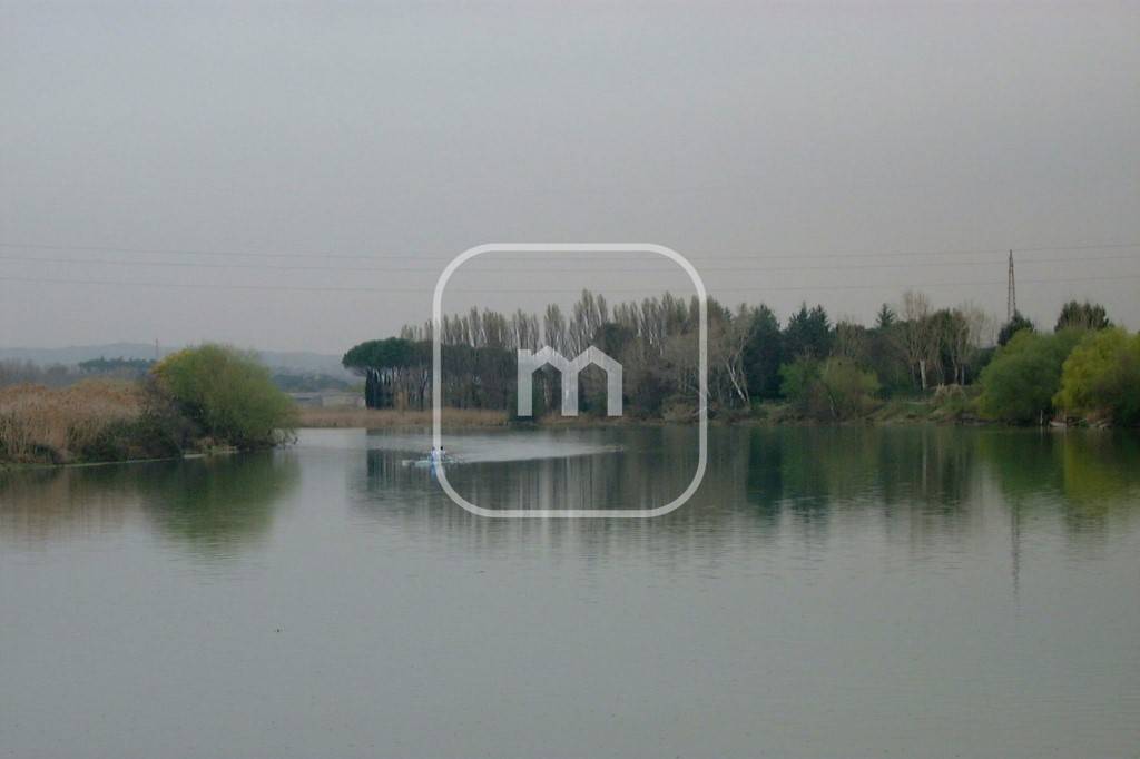 Studio in Rome, Italy No. 62281