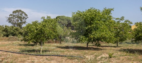 2 Schlafzimmer Haus in Moita, Portugal, Nr. 201313 31