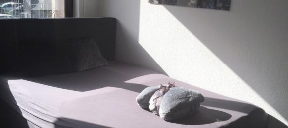 1 غرف نوم شقة في Pforzheim, Germany رقم 85147 15