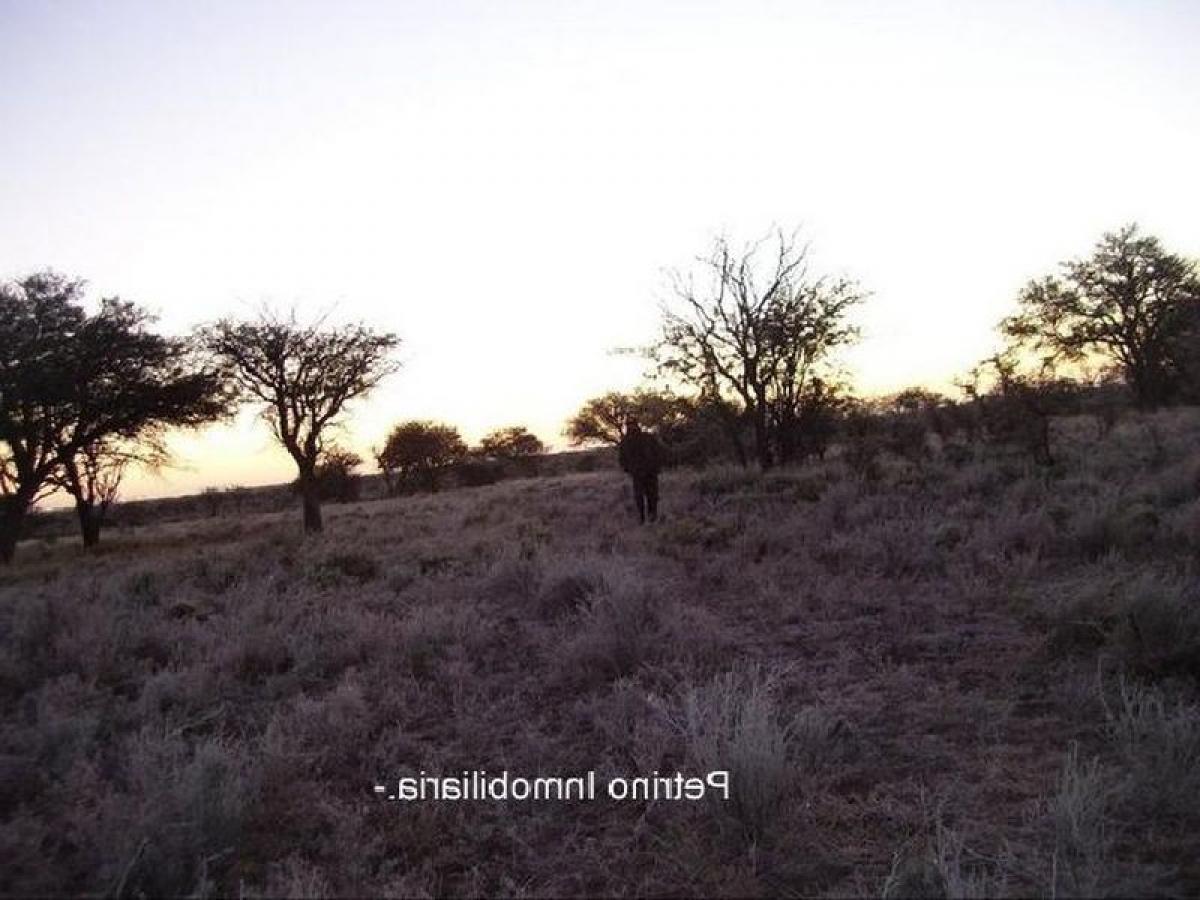 Studio in San Luis, Argentina, Nr. 64529