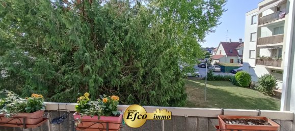 2 bedrooms Apartment in Saint-Louis, France No. 87444 6