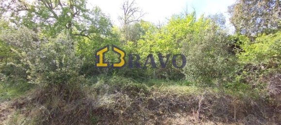 1263m² Warehouse in Medina de Pomar, Spain No. 129473 18