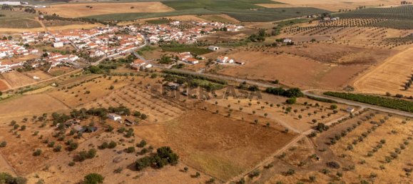 2 Schlafzimmer Haus in Evora, Portugal, Nr. 161206 37