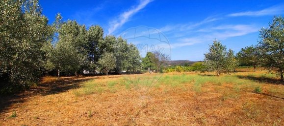 9 bedrooms Castles in Covilha, Portugal No. 170271 10