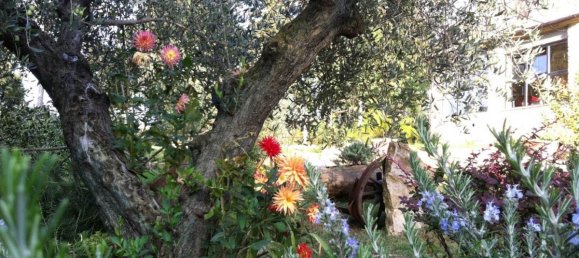 6 غرف نوم منزل في Passignano sul Trasimeno, Italy رقم 1401 4