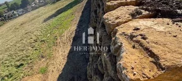 Земельный участок в кантон Реданж, Франция № 222067 5