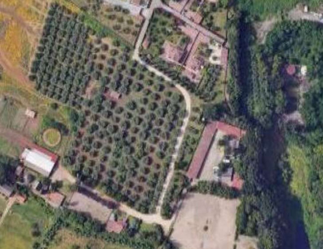 991m² Commercial property in Genzano di Roma, Italy No. 324093