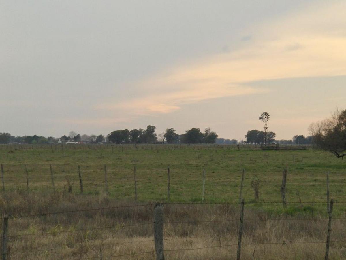 3 bedrooms Farm in Buenos Aires, Argentina No. 118063