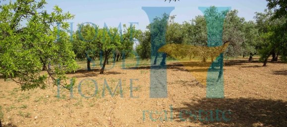  قطعة أرض في Noto, Italy 400متر مربع رقم 164212 14