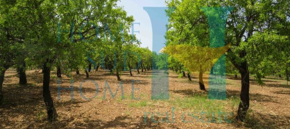  قطعة أرض في Noto, Italy 400متر مربع رقم 164212 2