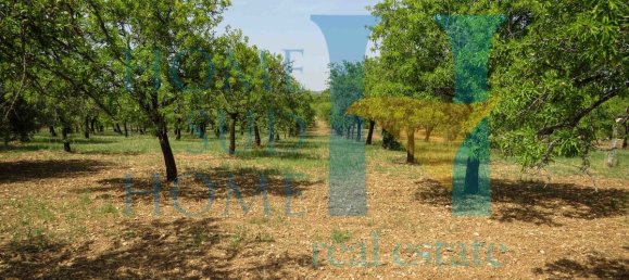  قطعة أرض في Noto, Italy 400متر مربع رقم 164212 5