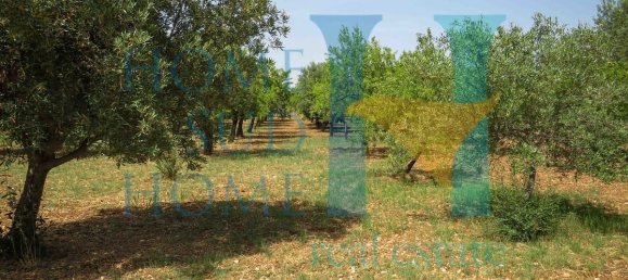  قطعة أرض في Noto, Italy 400متر مربع رقم 164212 15