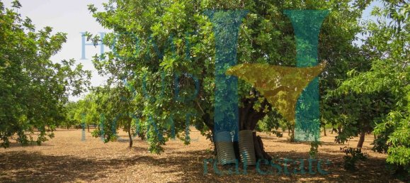  قطعة أرض في Noto, Italy 400متر مربع رقم 164212 9