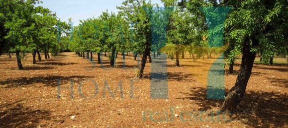  قطعة أرض في Noto, Italy 400متر مربع رقم 164212 20