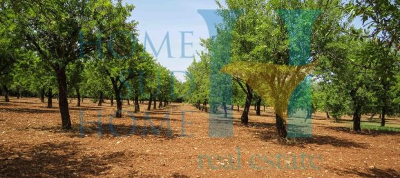  قطعة أرض في Noto, Italy 400متر مربع رقم 164212 18