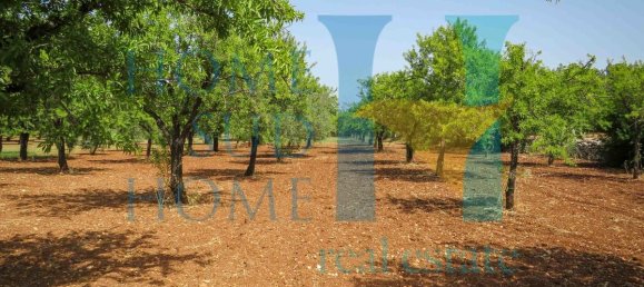  قطعة أرض في Noto, Italy 400متر مربع رقم 164212 21