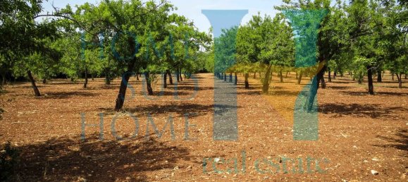  قطعة أرض في Noto, Italy 400متر مربع رقم 164212 19