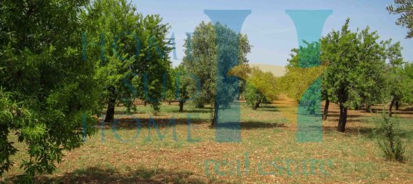  قطعة أرض في Noto, Italy 400متر مربع رقم 164212 16