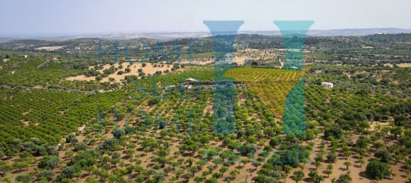  قطعة أرض في Noto, Italy 400متر مربع رقم 164212 29