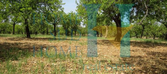  قطعة أرض في Noto, Italy 400متر مربع رقم 164212 3