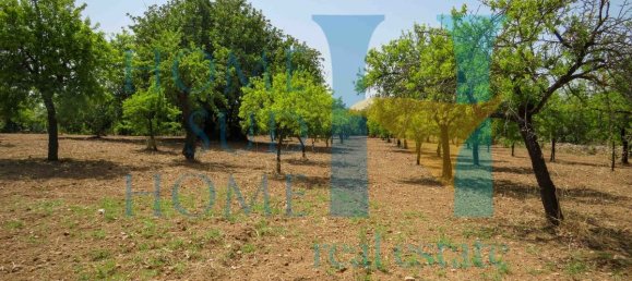  قطعة أرض في Noto, Italy 400متر مربع رقم 164212 11